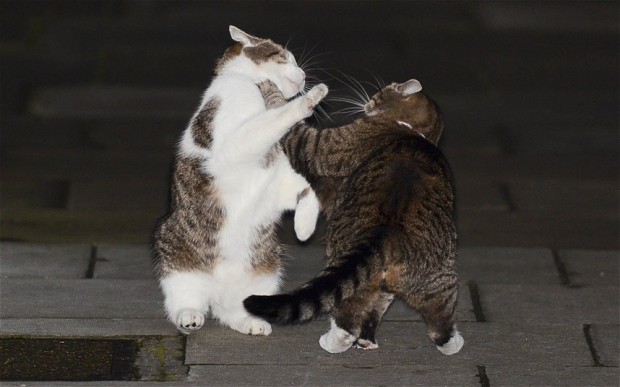 text message spy for iphone 5